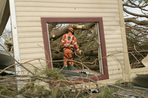 Tree and Shrub Care